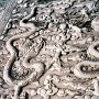 Beijing, China - Forbidden City